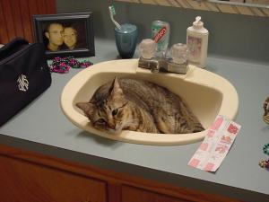 Jager doin the usual