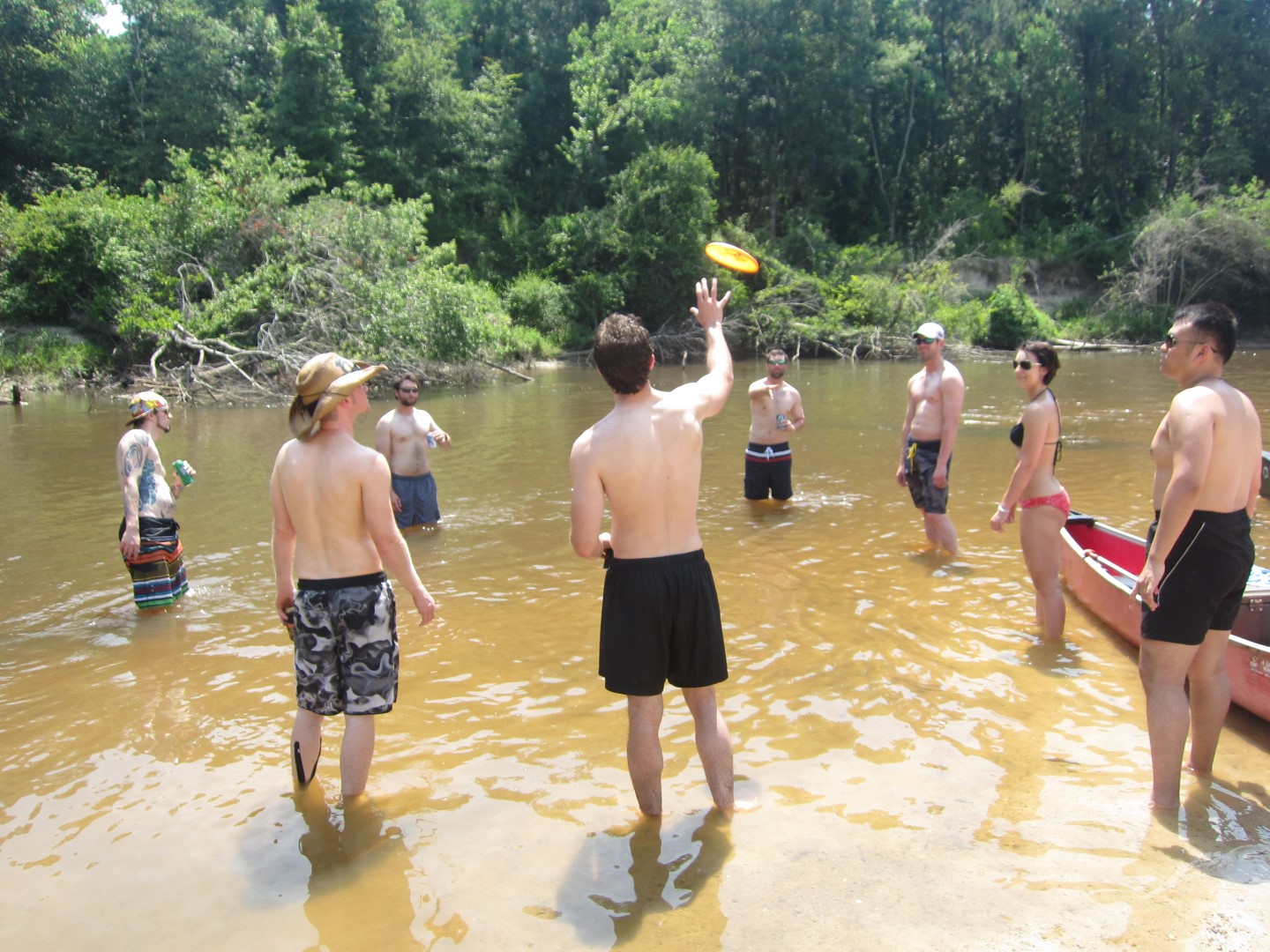 IMG_0498 _Large_.JPG