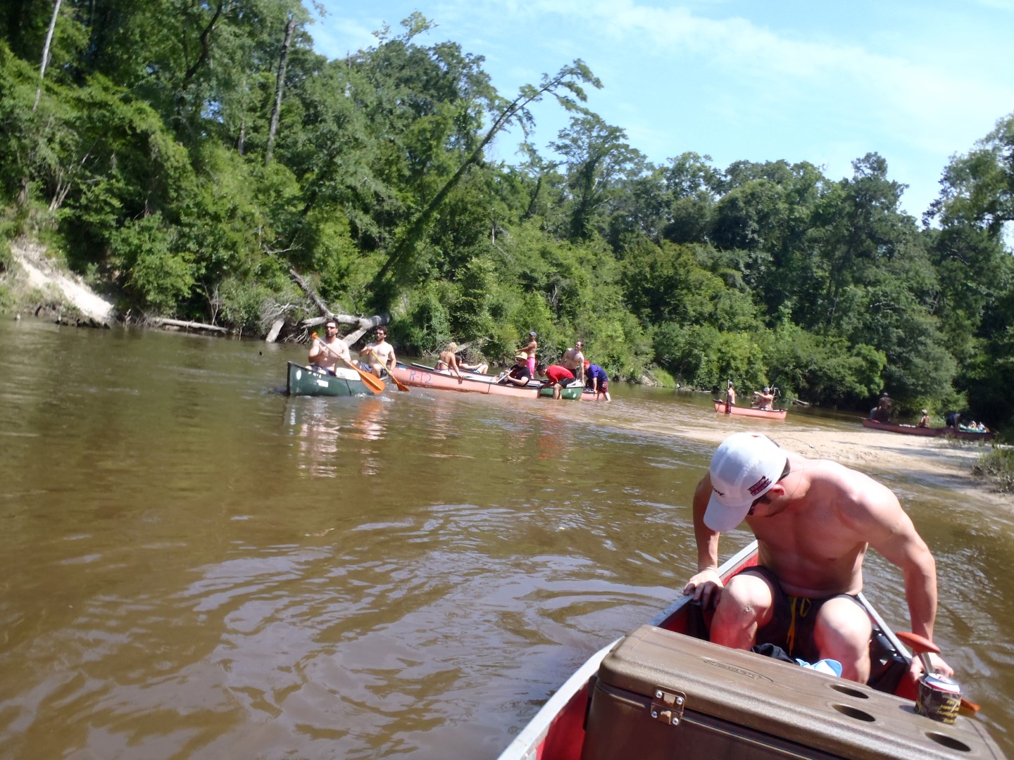 P6140383 _Large_.JPG