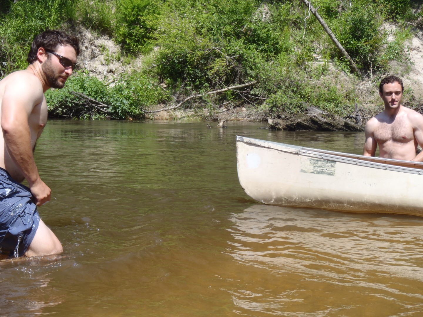 P6140378 _Large_.JPG